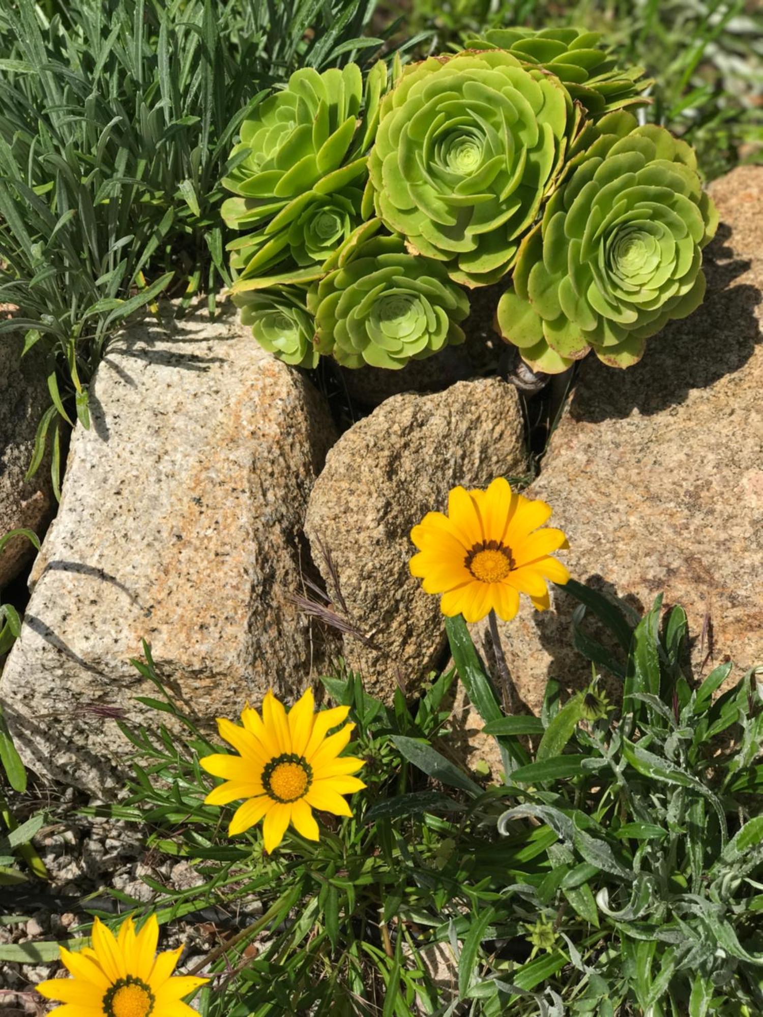Chambres d'hôtes - Fiore di Machja Coti-Chiavari  Esterno foto