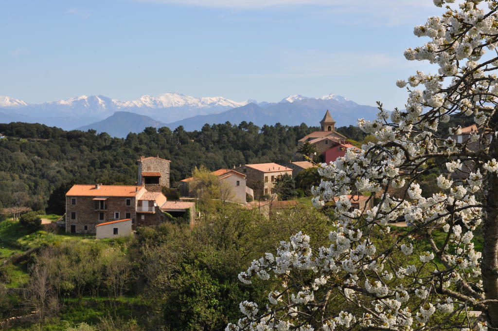Chambres d'hôtes - Fiore di Machja Coti-Chiavari  Esterno foto