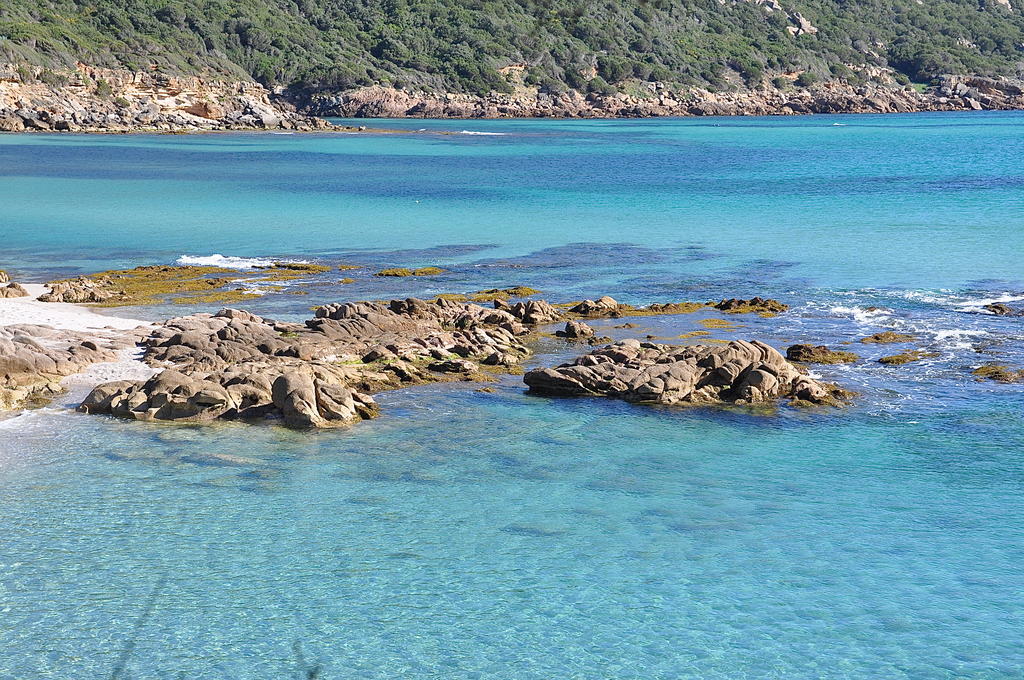 Chambres d'hôtes - Fiore di Machja Coti-Chiavari  Esterno foto
